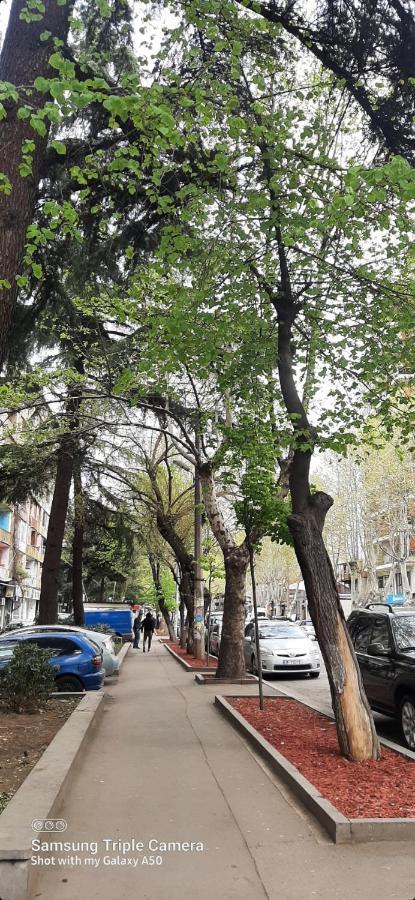 Comfy Apartment Tbilisi ภายนอก รูปภาพ